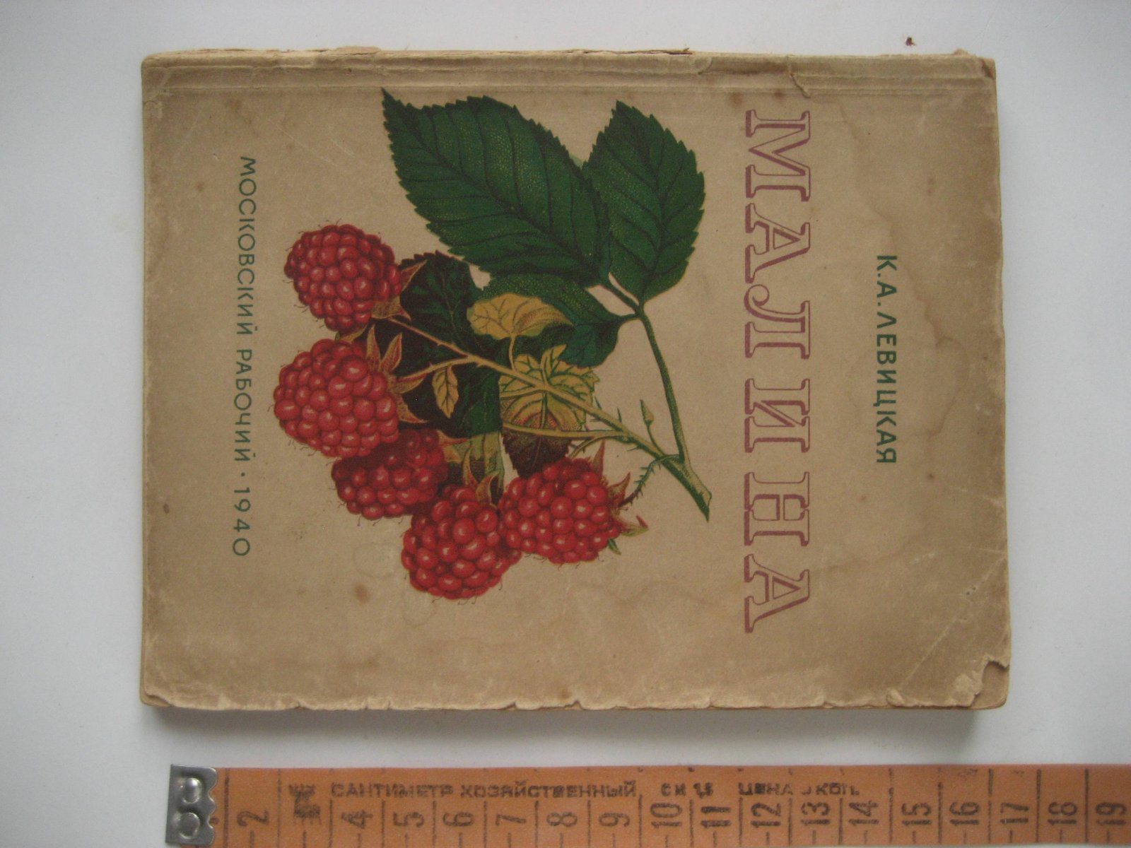Левицкая К. Малина.