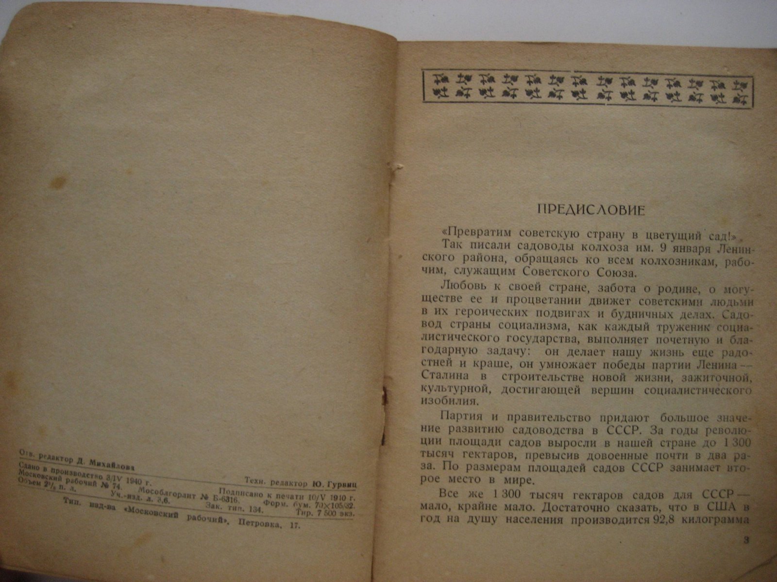 Левицкая К. Малина.