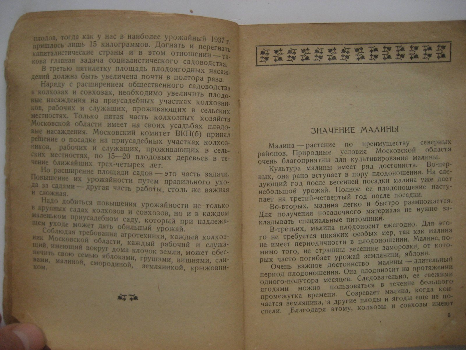 Левицкая К. Малина.