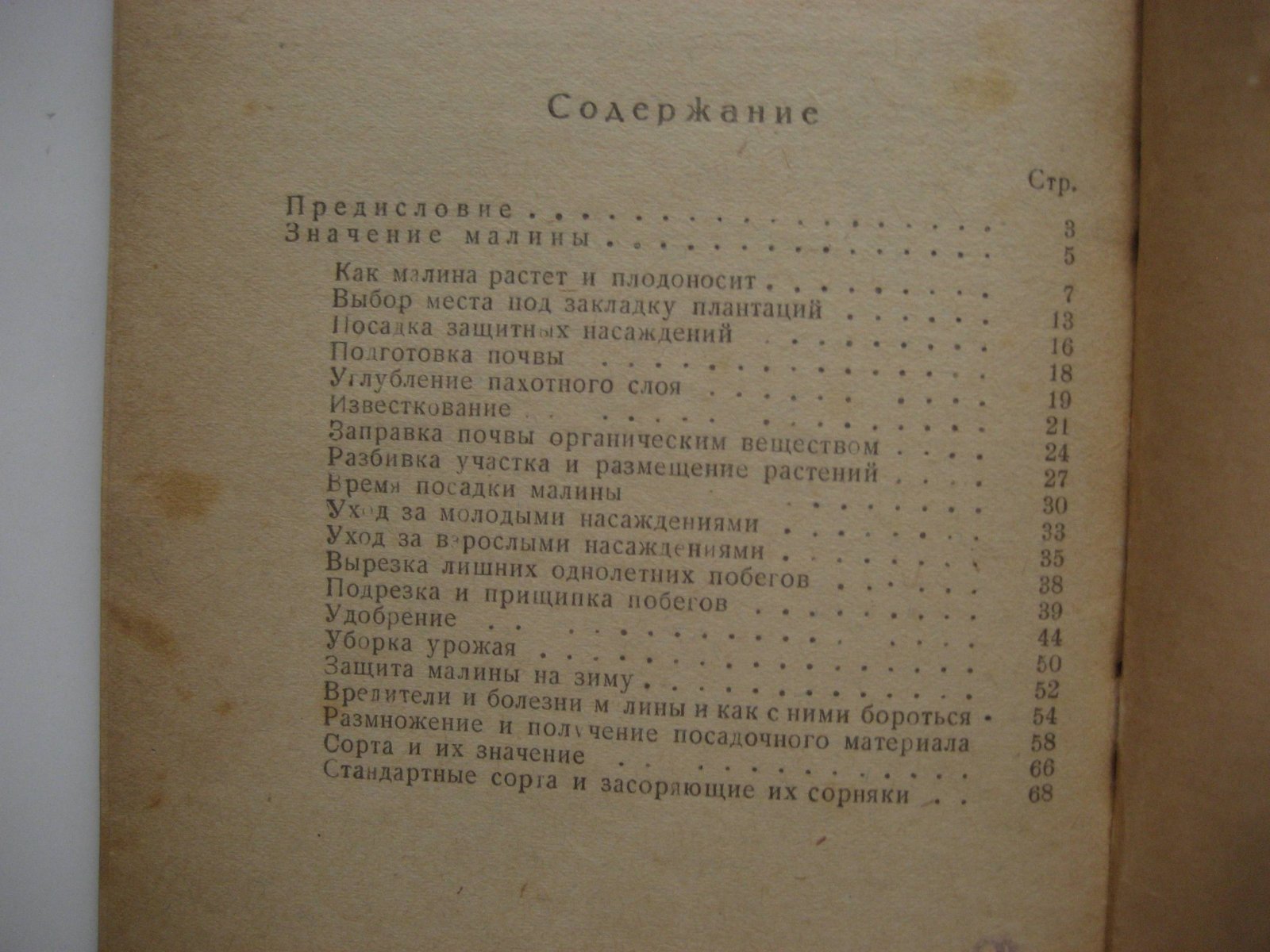 Левицкая К. Малина.