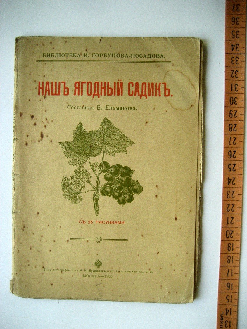 Ельманова Е. Наш ягодный садик.
