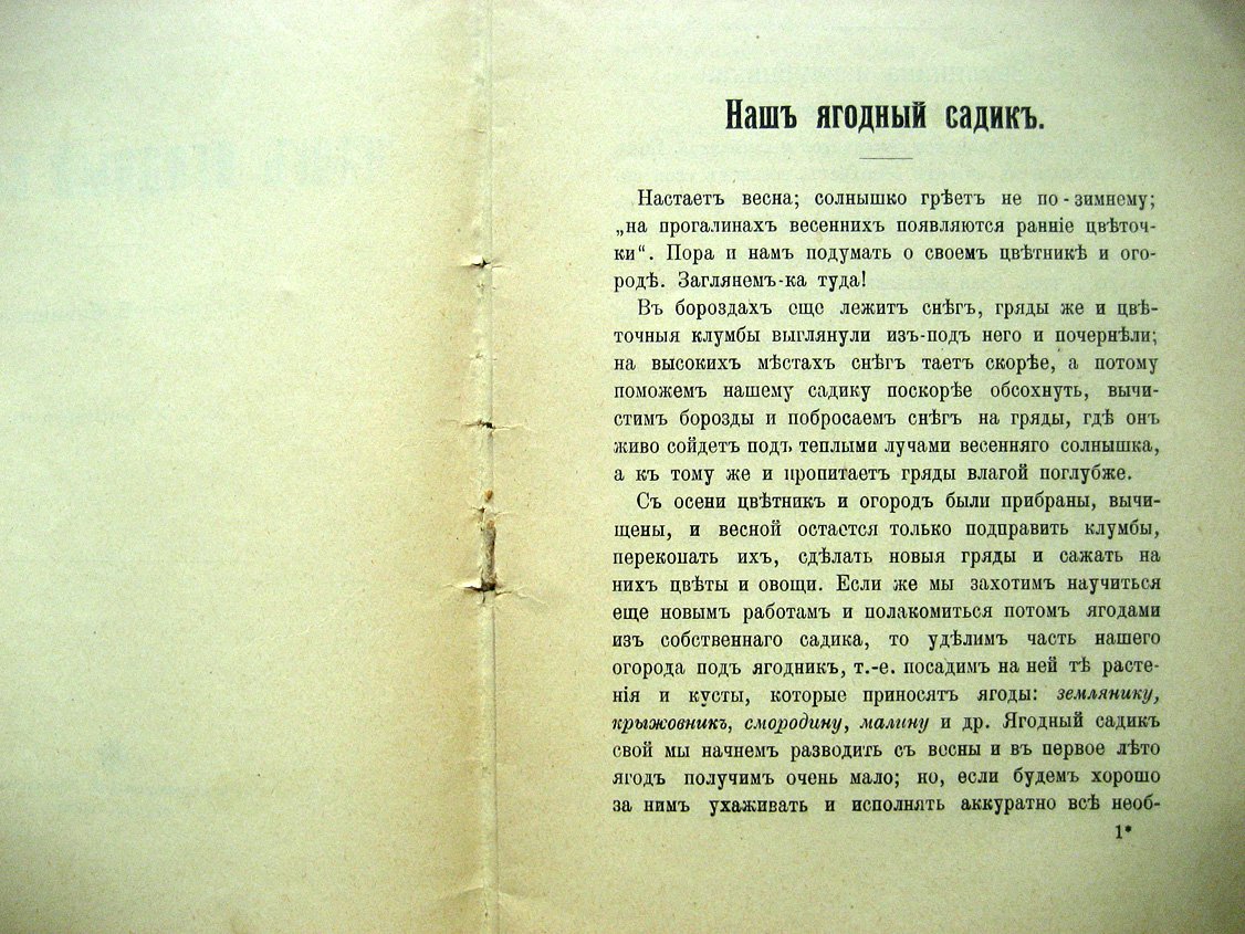 Ельманова Е. Наш ягодный садик.