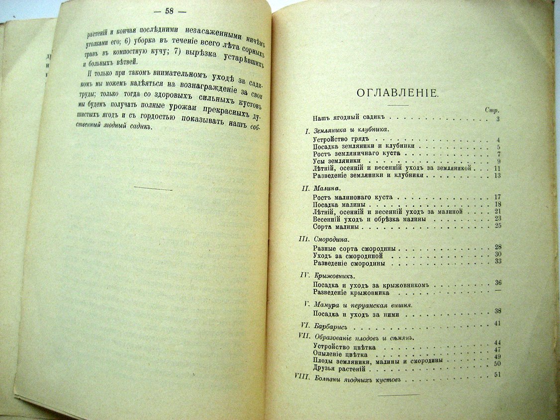 Ельманова Е. Наш ягодный садик.