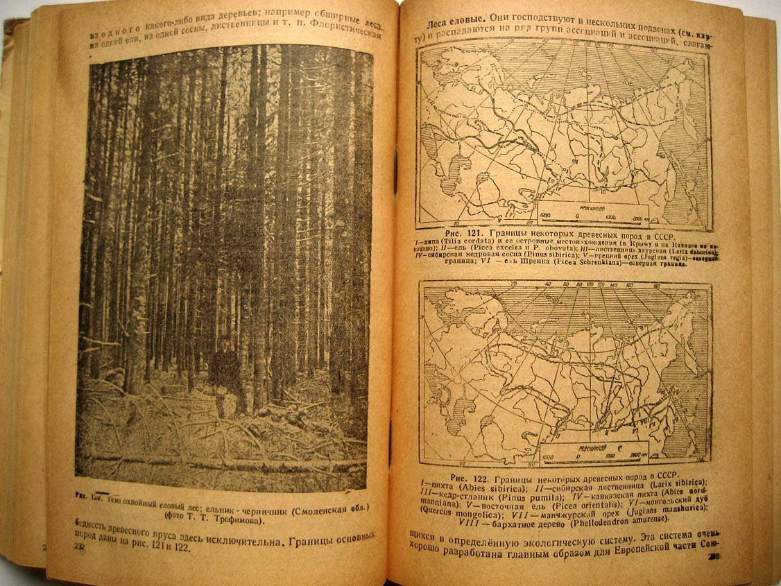 Алехин В. География растений.
