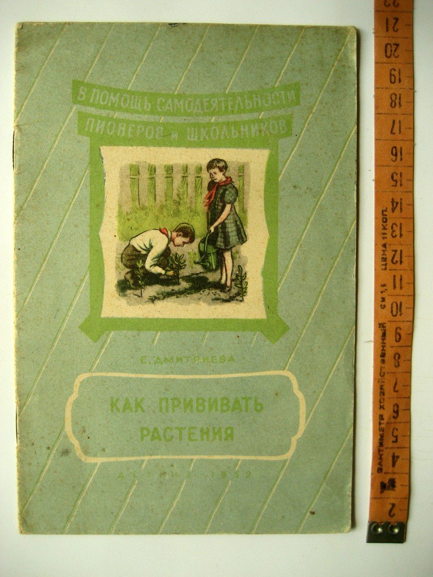 Дмитриева Е. Как прививать растения.