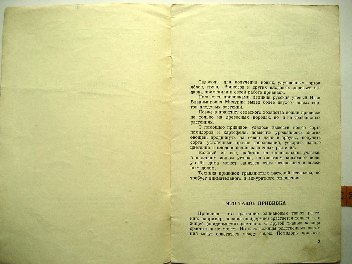Дмитриева Е. Как прививать растения.