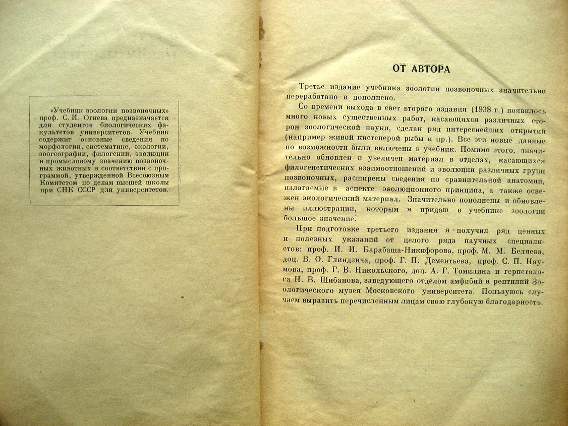Огнев С. Зоология позвоночных.