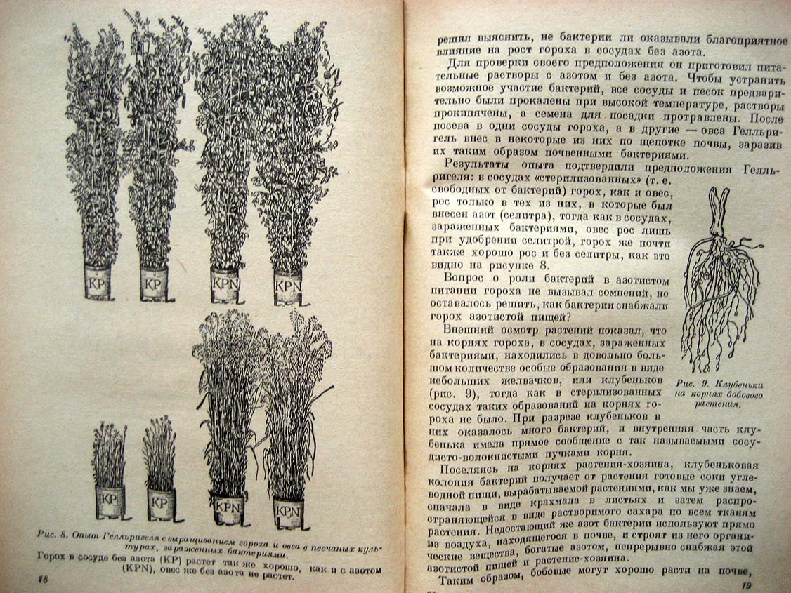 Кочетков В. Популярная агрохимия.