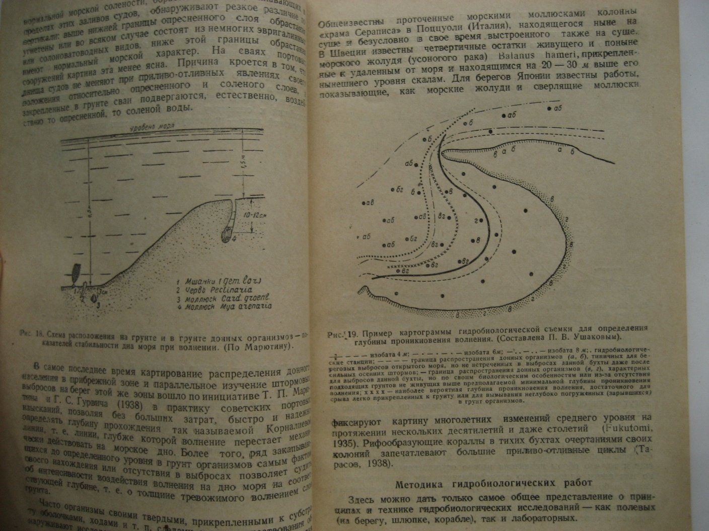Тарасов Н. Биология моря и флот.
