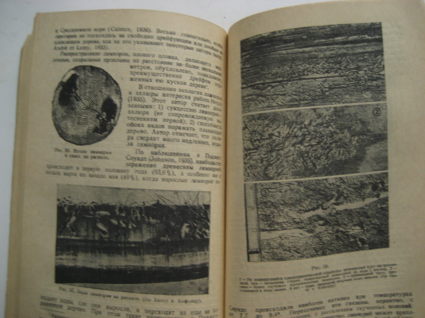 Тарасов Н. Биология моря и флот.
