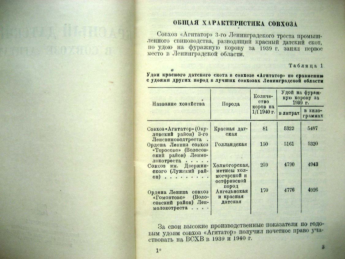 Доброхотов А. `Красный датский скот в совхозе ``Агитатор```.