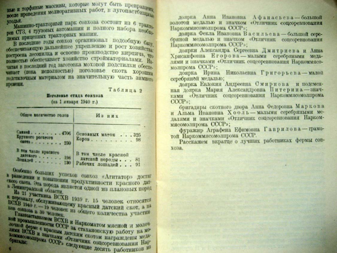 Доброхотов А. `Красный датский скот в совхозе ``Агитатор```.
