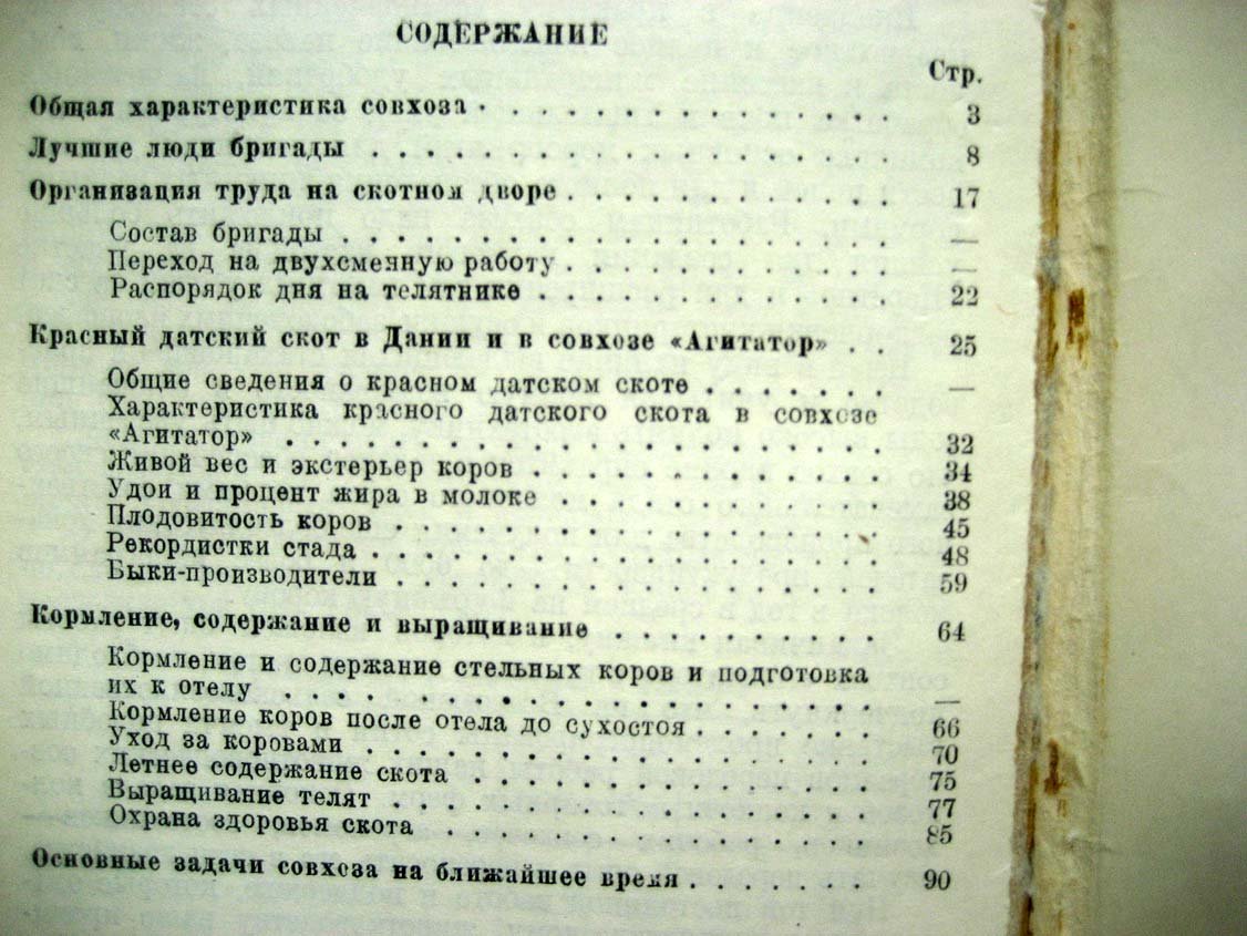 Доброхотов А. `Красный датский скот в совхозе ``Агитатор```.