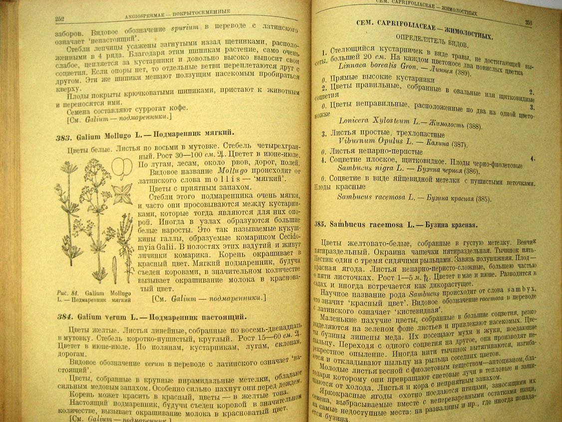 Нейштадт М. Наши растения. Определитель