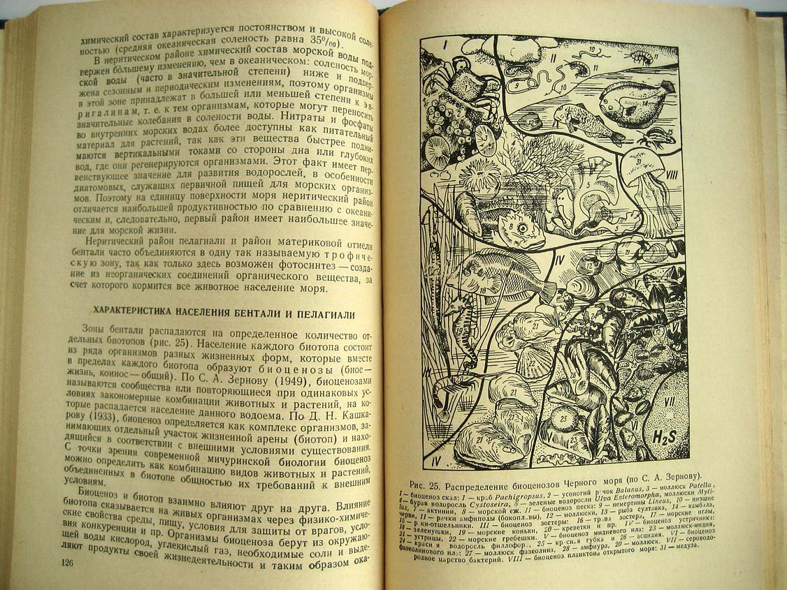 Яковенко В. Методы санитарной оценки морских вод.
