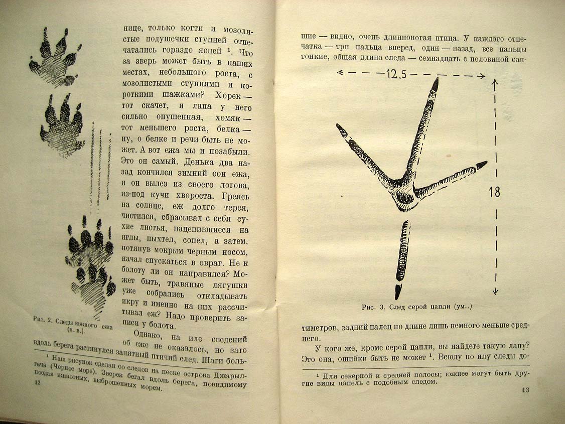 Формозов А. Спутник следопыта.