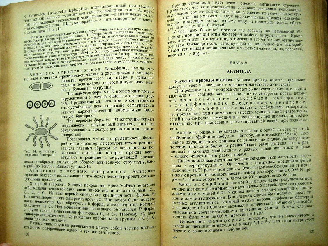Гамалея Н. Учебник медицинской микробиологии.