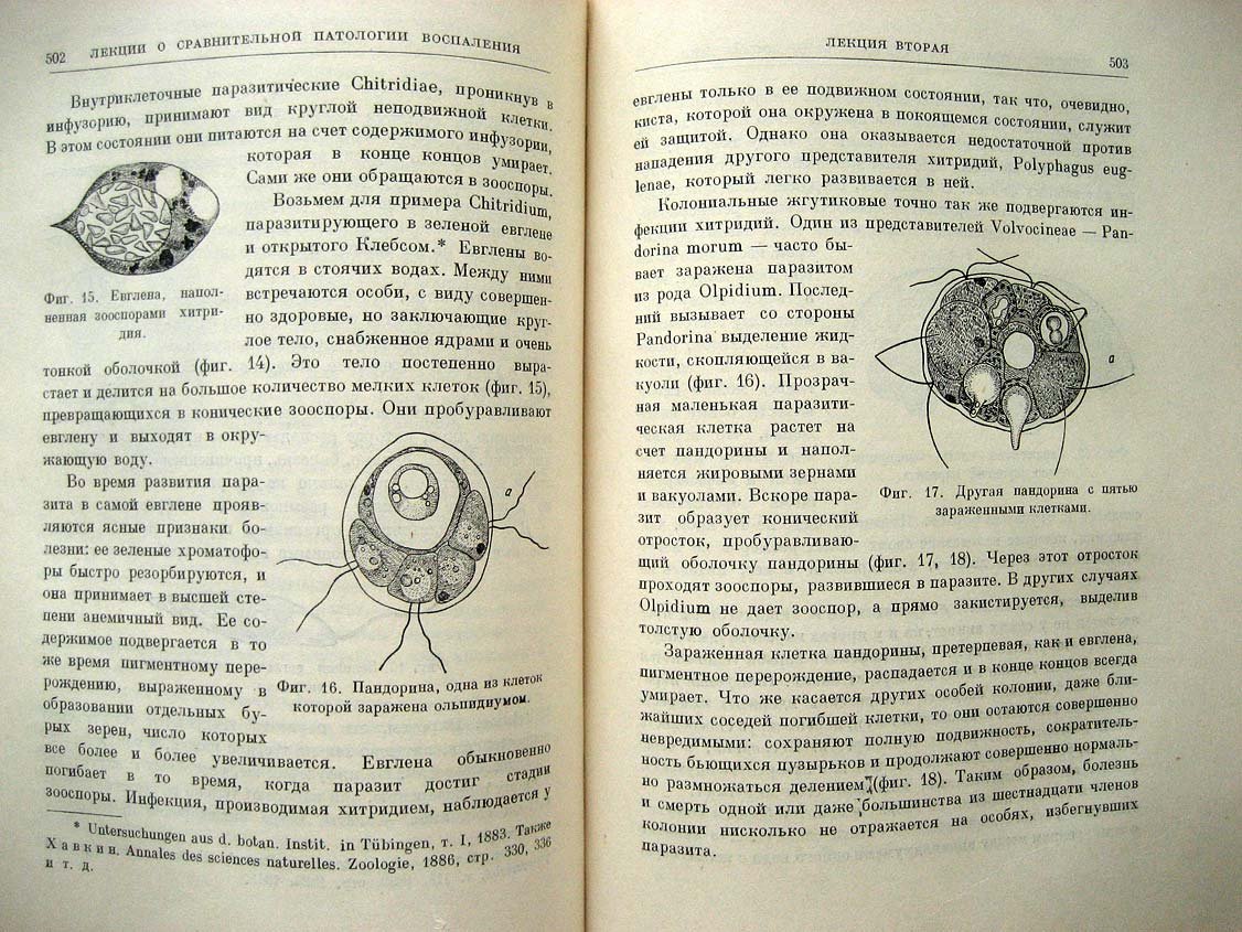 Мечников И. Избранные биологические произведения.