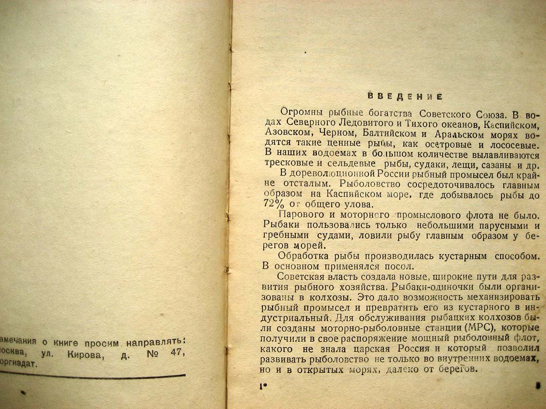 Ракчеев А. Рыбные товары.