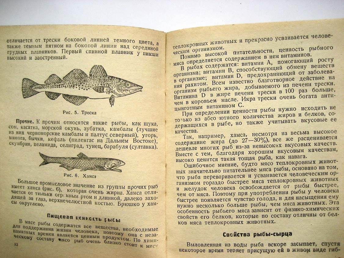 Ракчеев А. Рыбные товары.