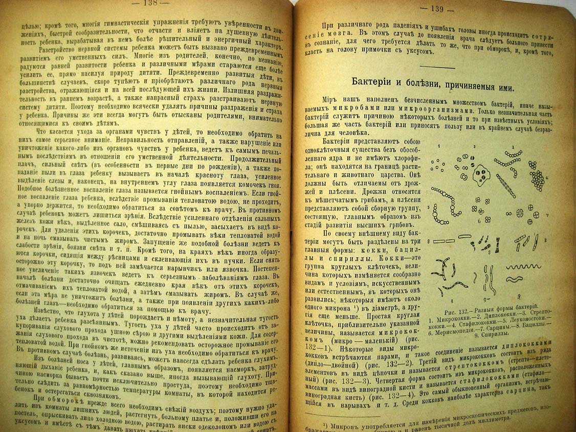 Герасимов М. Элементарная анатомия, физиология и гигиена