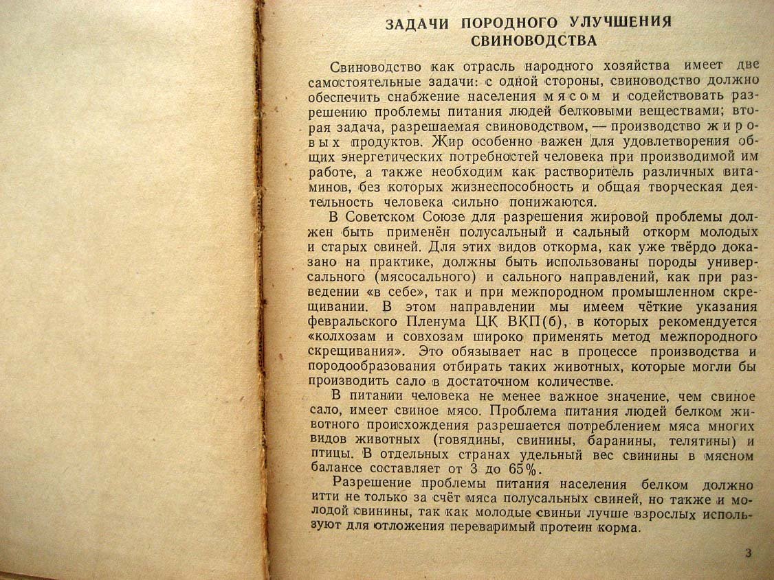 Кудрявцев П. Племенное дело в свиноводстве.