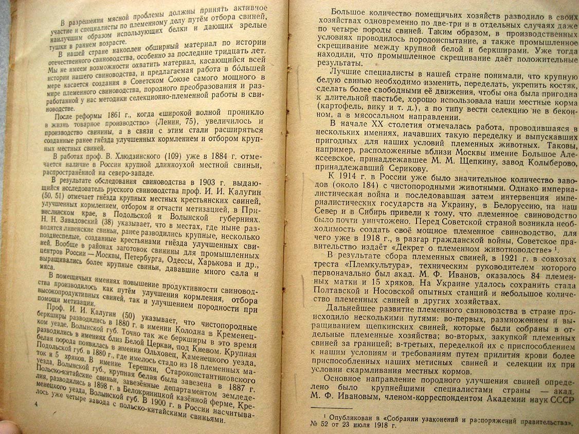 Кудрявцев П. Племенное дело в свиноводстве.