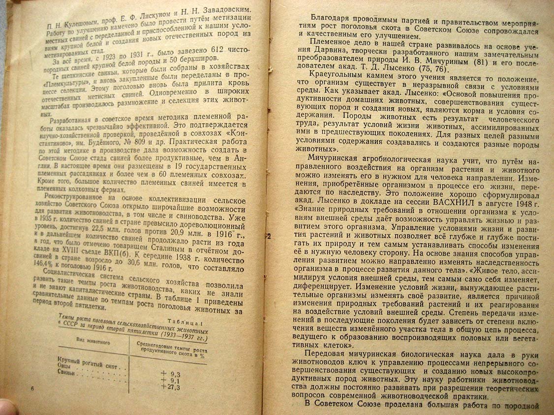 Кудрявцев П. Племенное дело в свиноводстве.