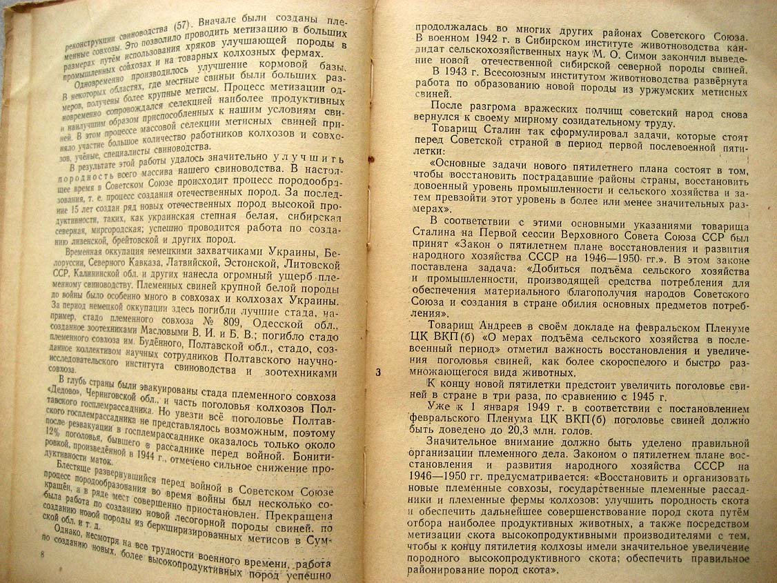 Кудрявцев П. Племенное дело в свиноводстве.