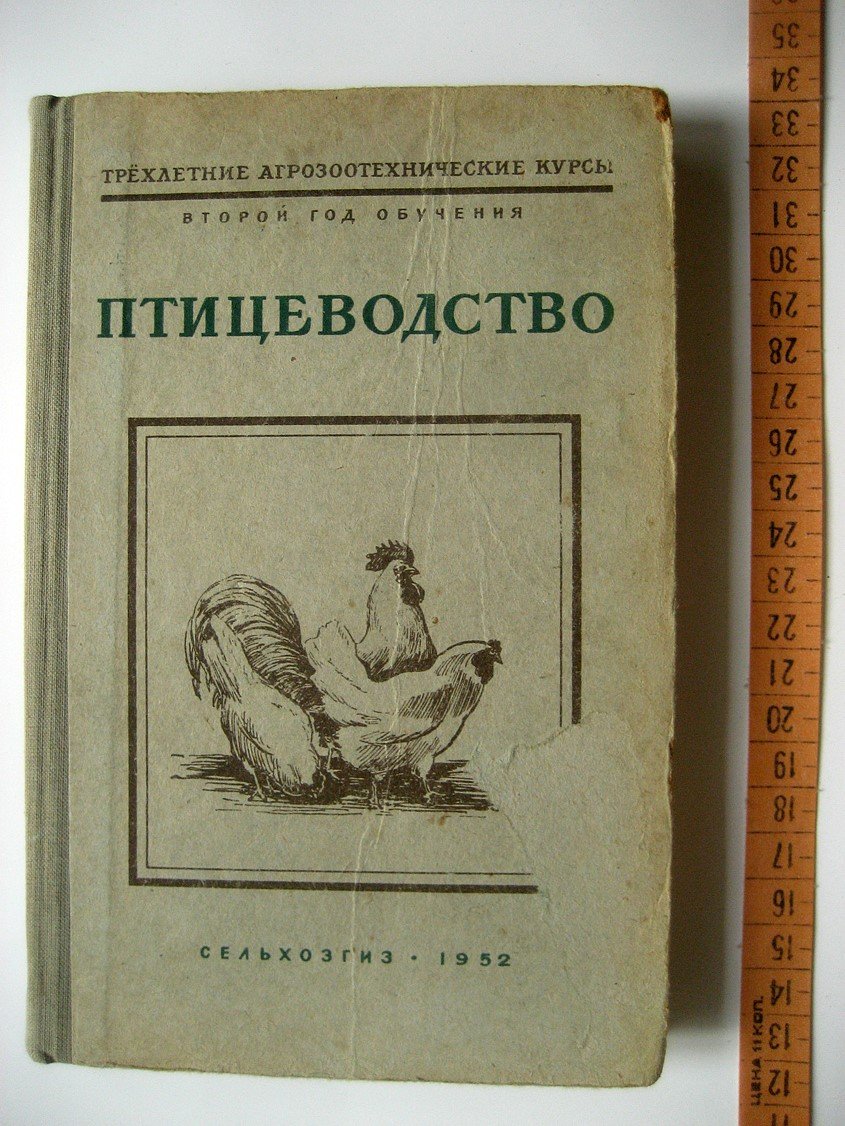 Птицеводство.