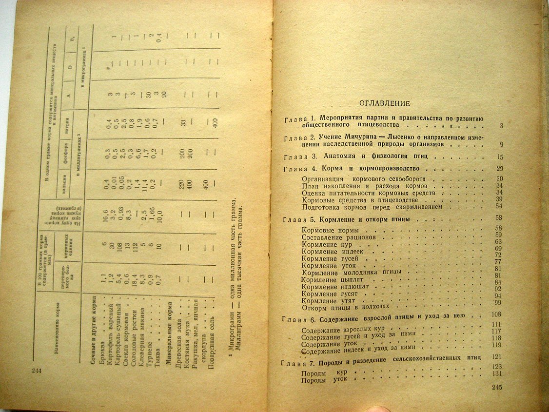 Птицеводство.