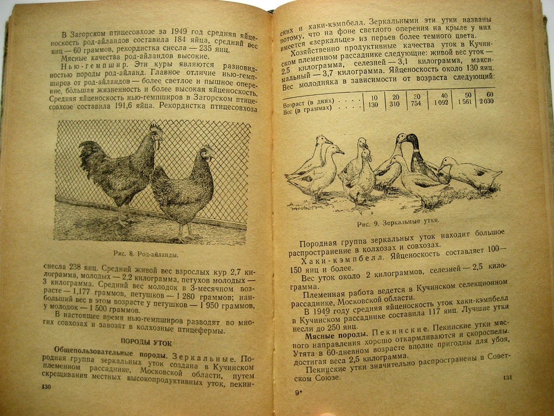 Птицеводство.