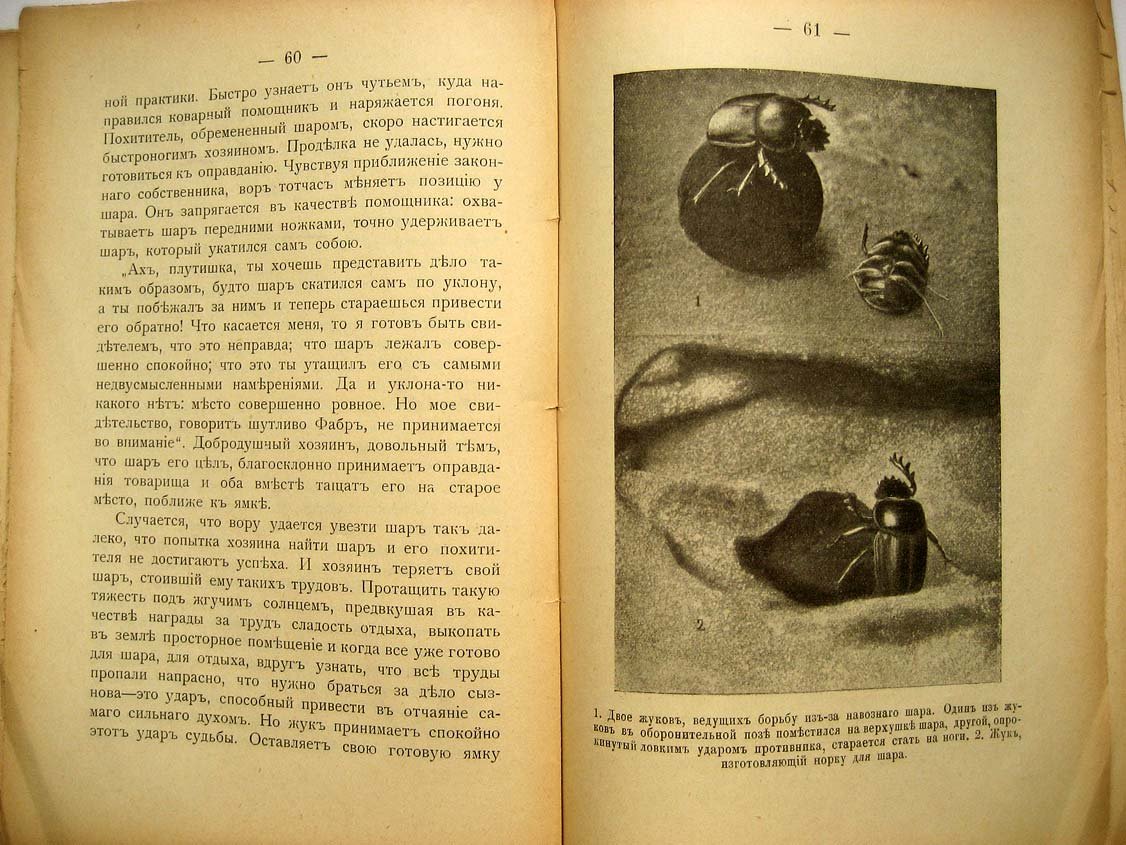 Фабр А. Жуки навозники.