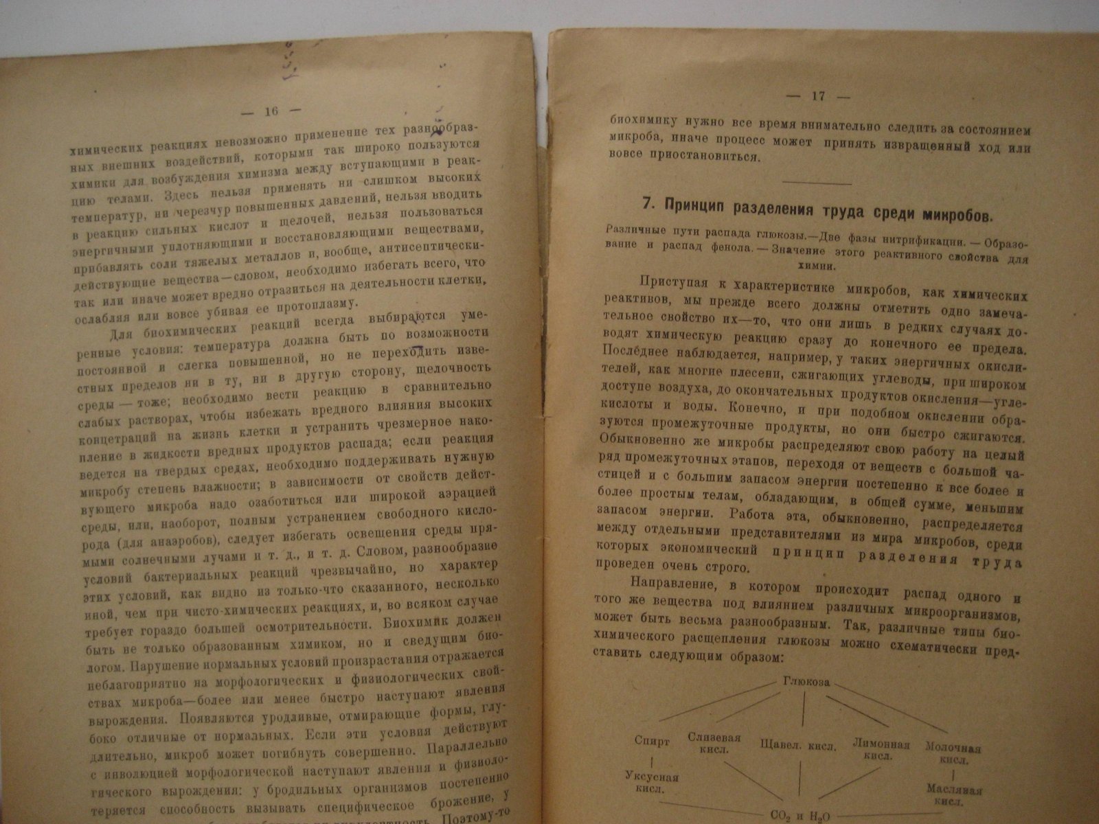 Омелянский В. Микроорганизмы как химические реактивы.