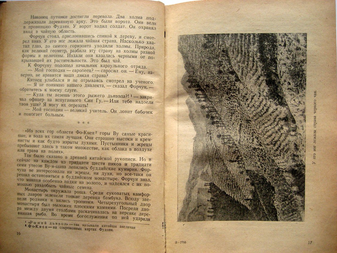 Горобова А. Букет Грузии. Из истории чая