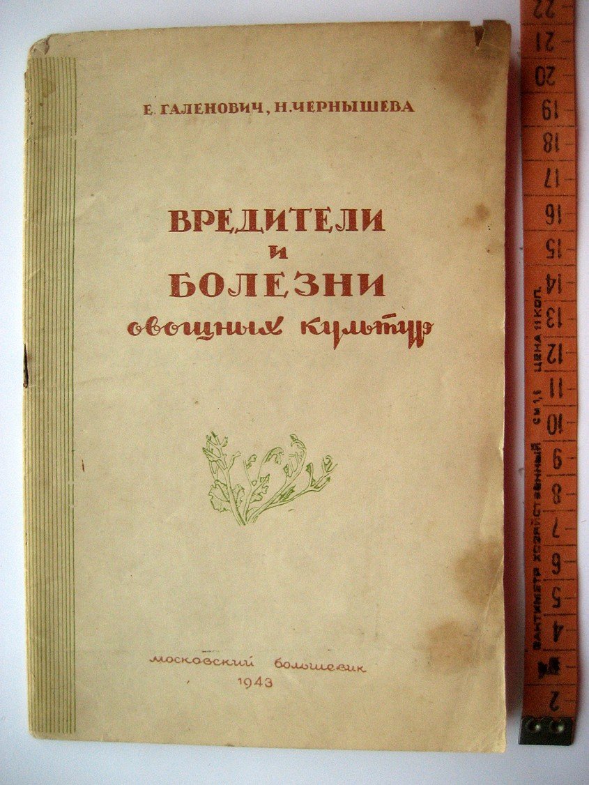Галенович Е., Чернышева Н. Вредители и болезни овощных культур.
