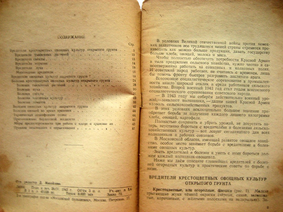 Галенович Е., Чернышева Н. Вредители и болезни овощных культур.