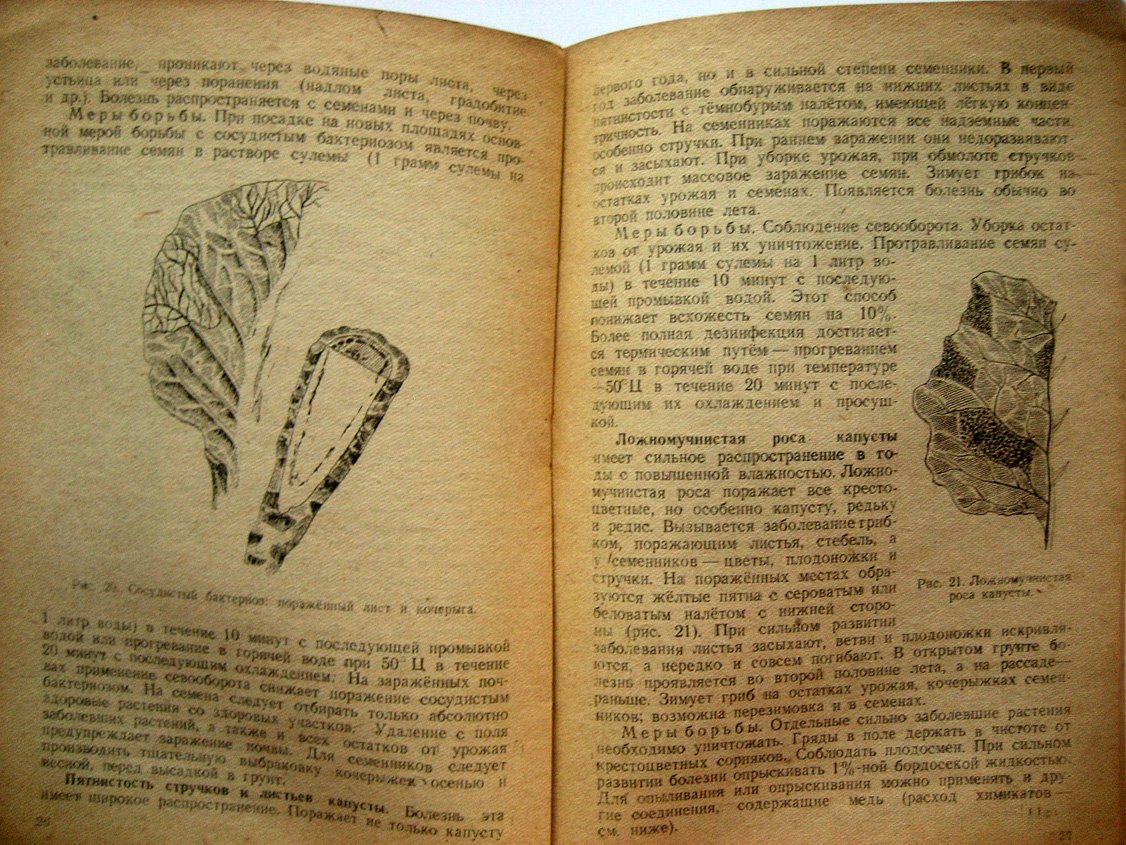 Галенович Е., Чернышева Н. Вредители и болезни овощных культур.