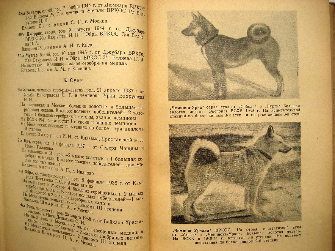 Всесоюзная родословная книга охотничьих собак.
