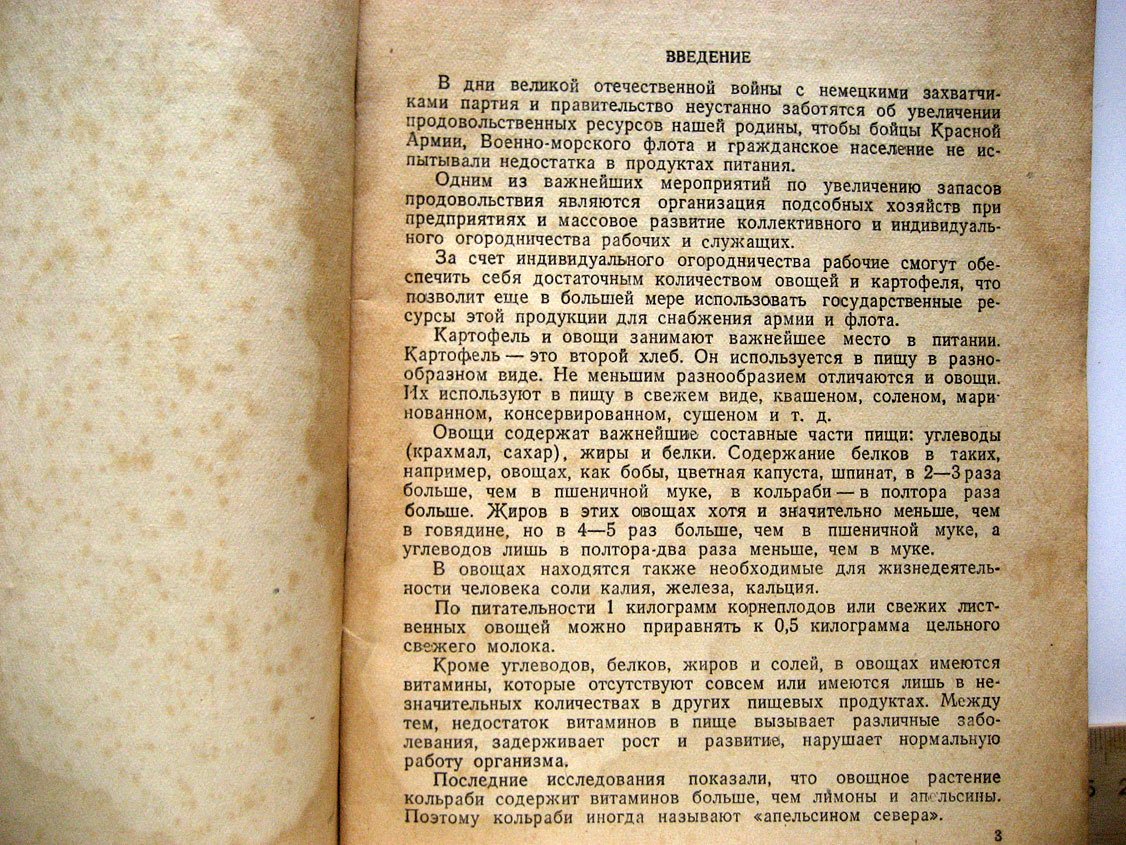 Емельянов И. Выращивание овощей и картофеля на индивидуальном огороде.