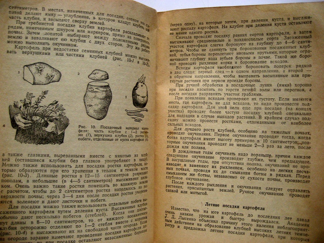 Емельянов И. Выращивание овощей и картофеля на индивидуальном огороде.