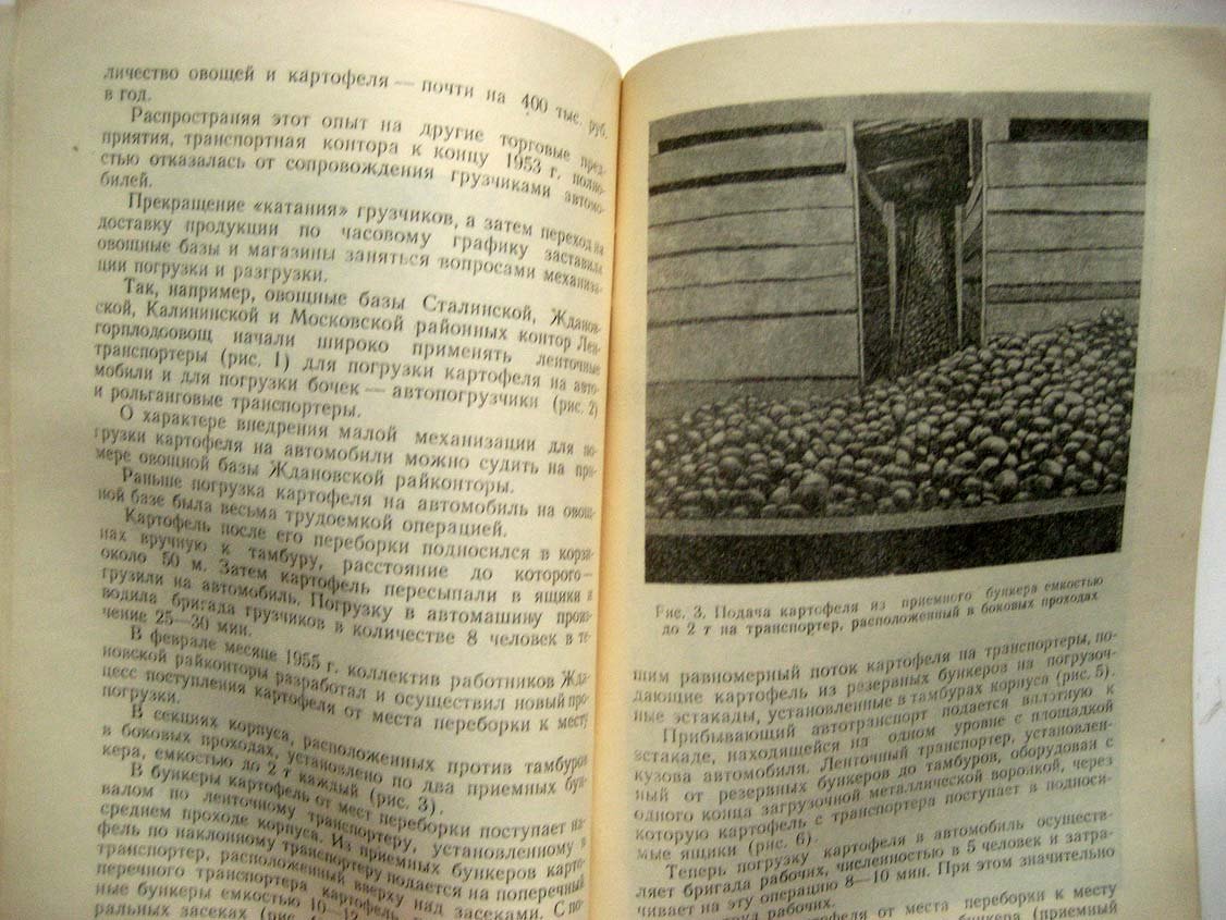 Лискович С. Централизованная доставка картофеля и овощей по часовому графику.