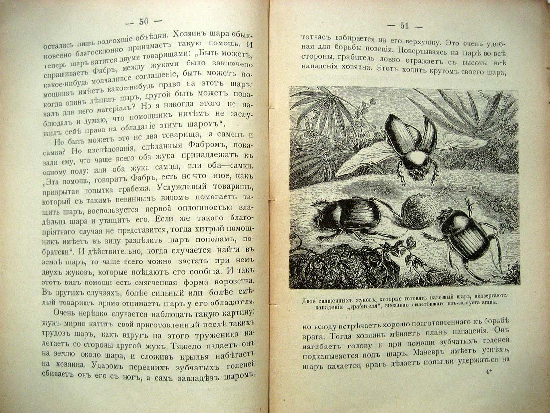 Фабр А. Жуки навозники.