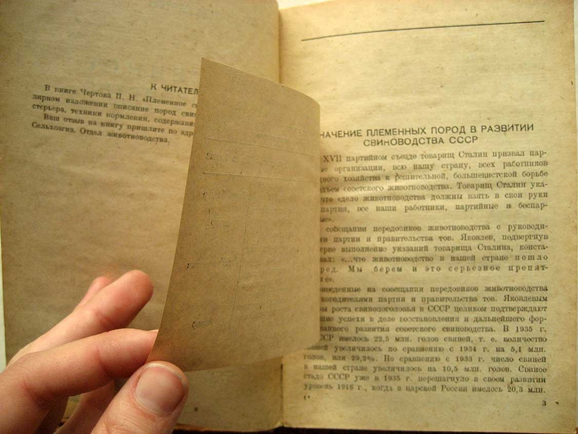 Чертов П. Племенное свиноводство.