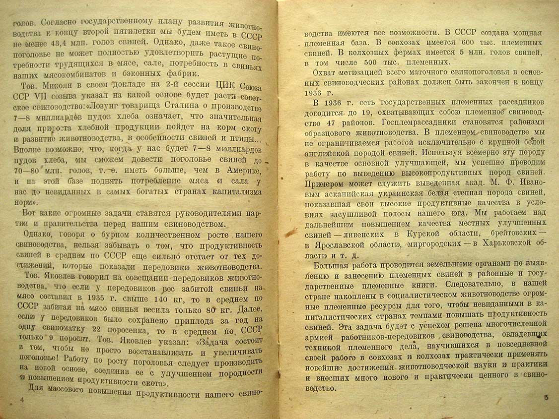 Чертов П. Племенное свиноводство.