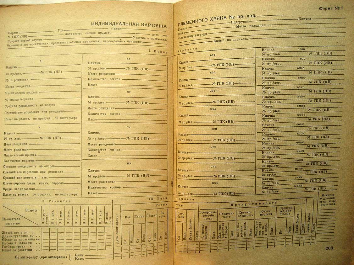 Чертов П. Племенное свиноводство.