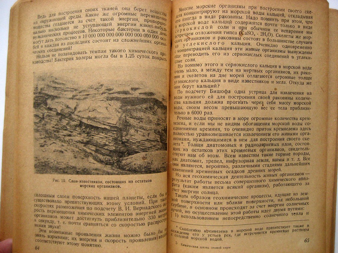 Самойло М. Химическая жизнь земной коры.