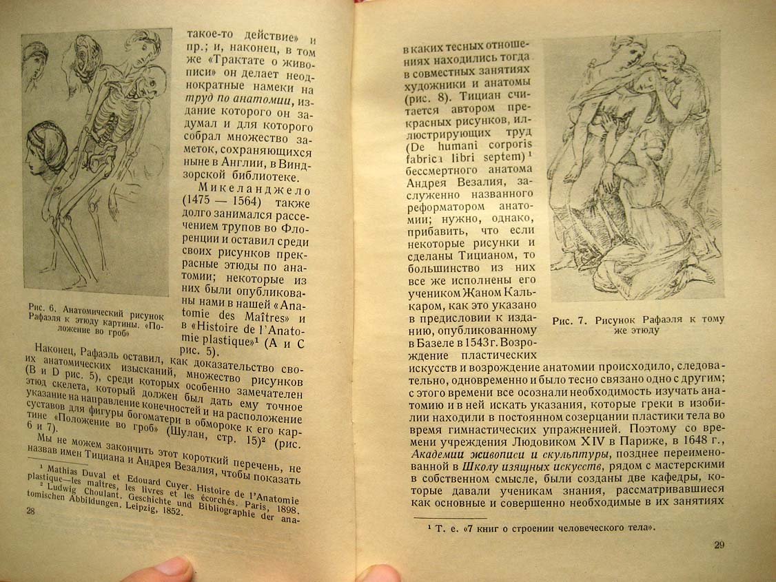 Дюваль М. Анатомия для художников.