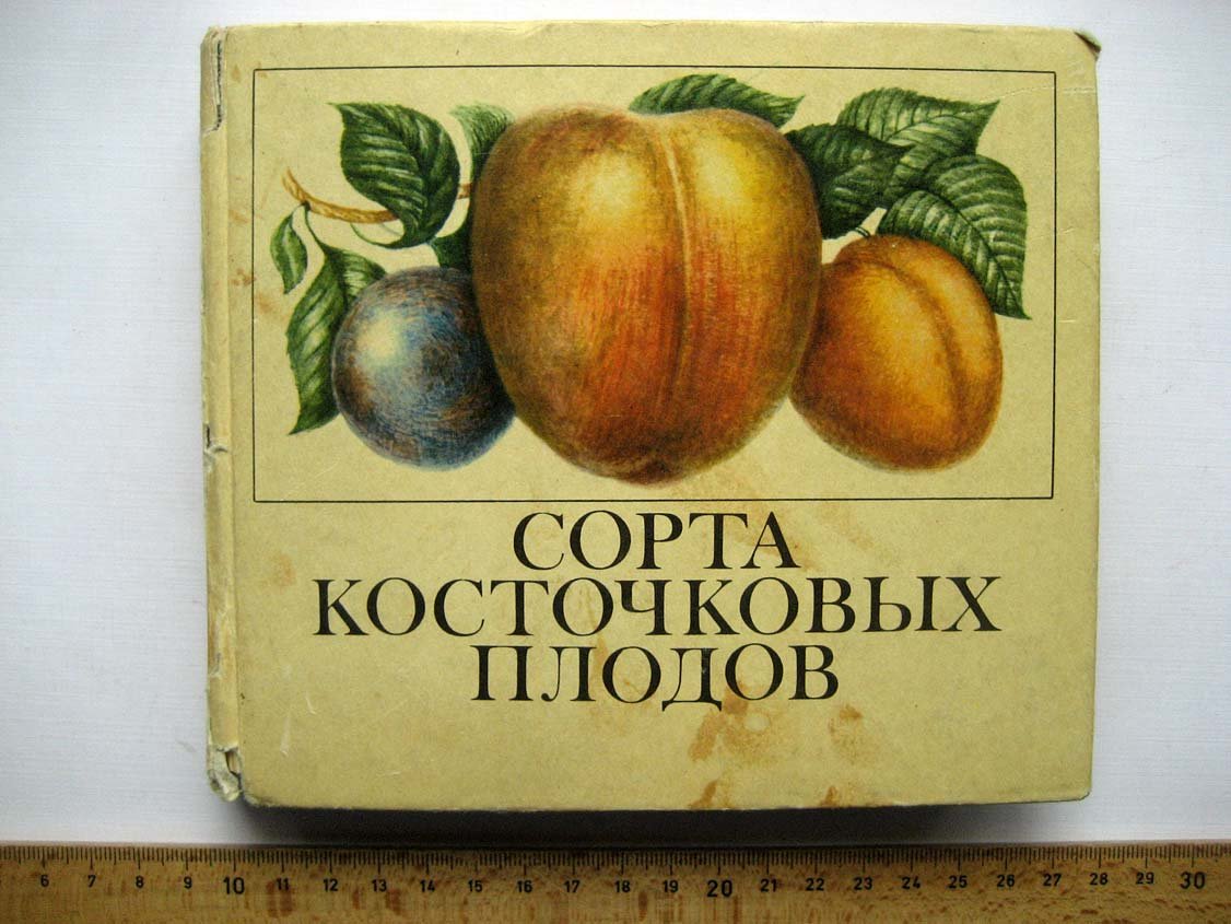 Сорта косточковых плодов. Каталог