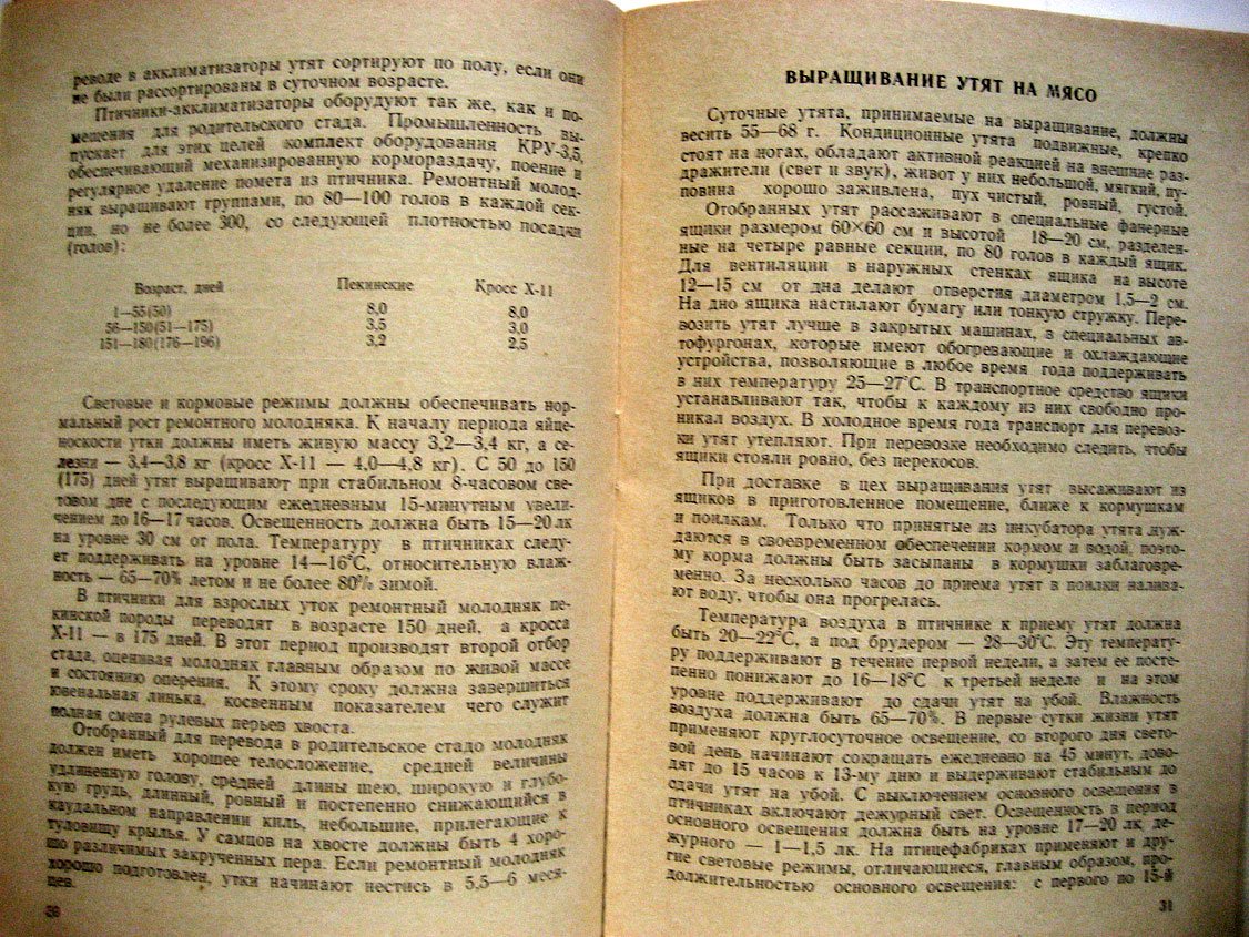 Технология промышленного производства мяса уток. Методические рекомендации
